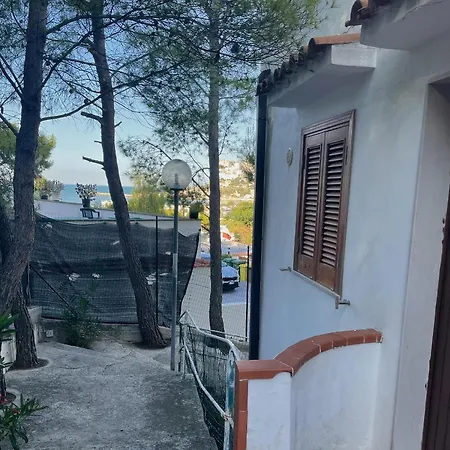 Montepucci *