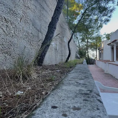 Montepucci *